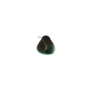 PERSONAL CARE TINTE 100ML COSMO Nº9OL