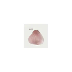 PERSONAL CARE TINTE 100ML COSMO Nº10CR